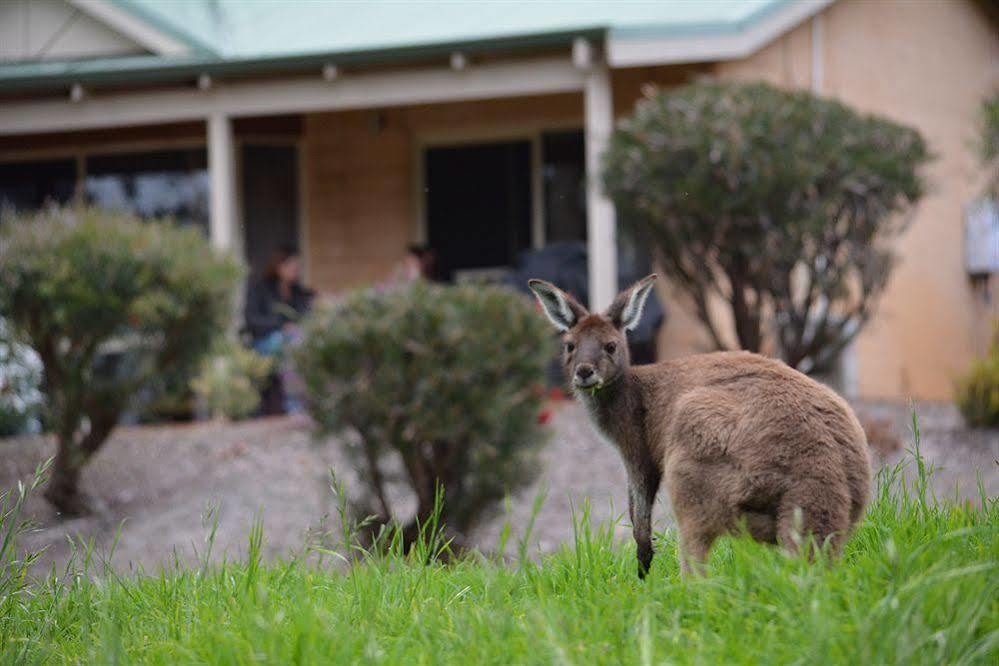 Eight Willows Retreat Resort Yelverton